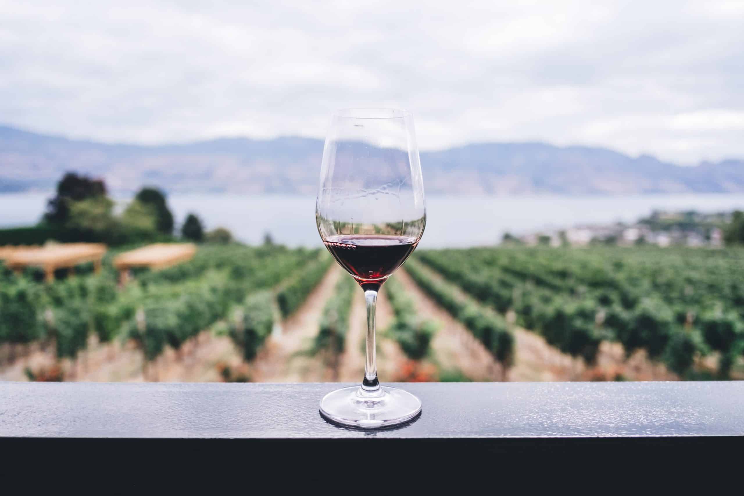 På eventyr efter Zinfandel?