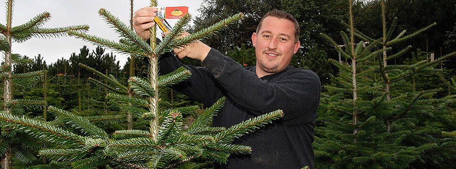 Køb dit juletræ hos Dyssegaarden